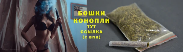 мдпв Горно-Алтайск