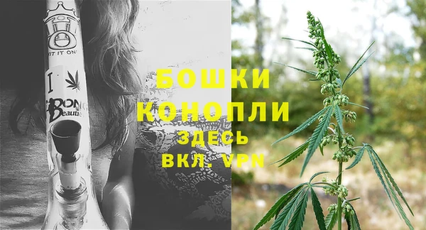 гашик Яранск
