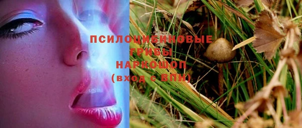 мдпв Горно-Алтайск