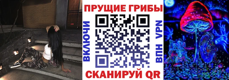 даркнет формула  Изобильный  Псилоцибиновые грибы Psilocybe 