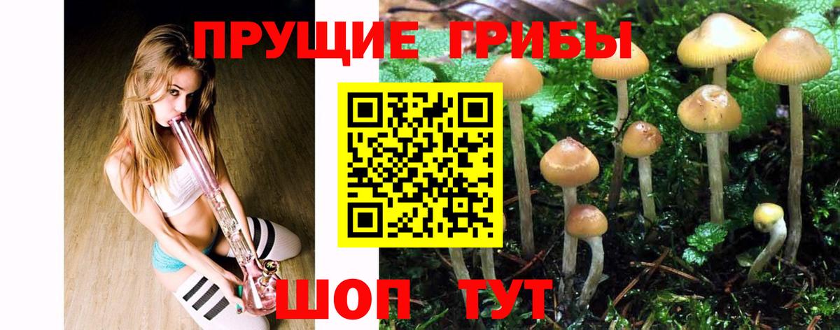 Изобильный  Псилоцибиновые грибы Magic Shrooms  Вход с VPN 