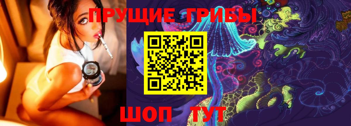 Псилоцибиновые грибы мицелий Изобильный